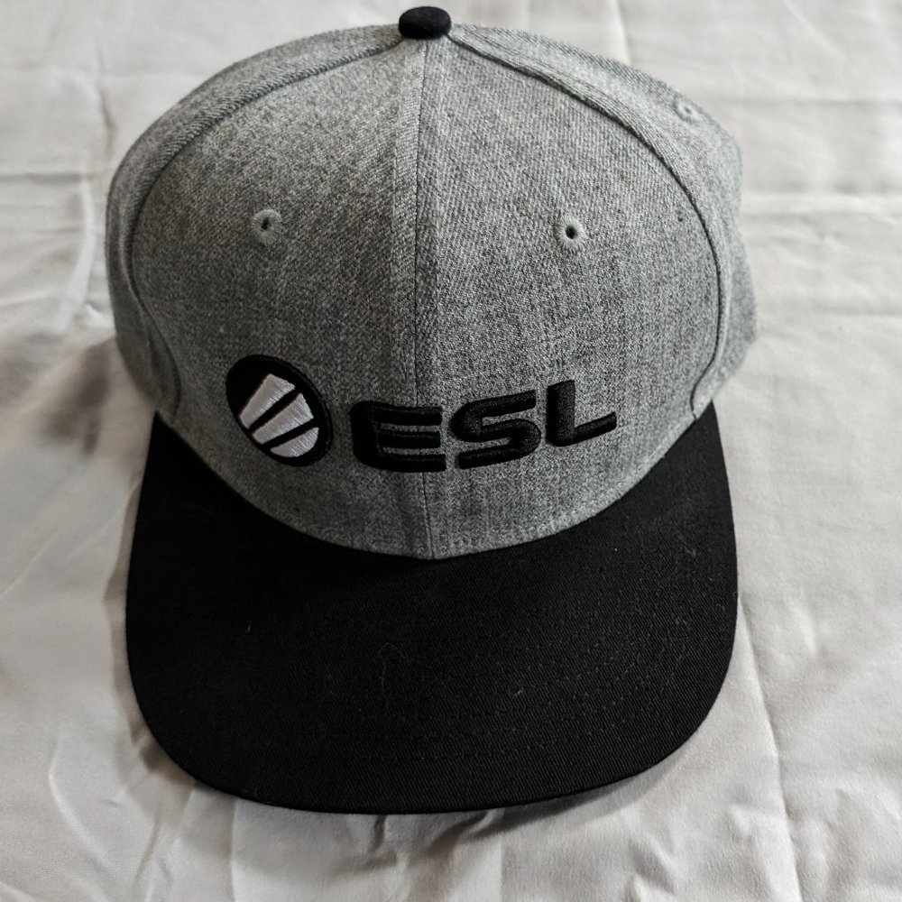 Esports League (ESL) Flat-Brim Snap-Back Hat